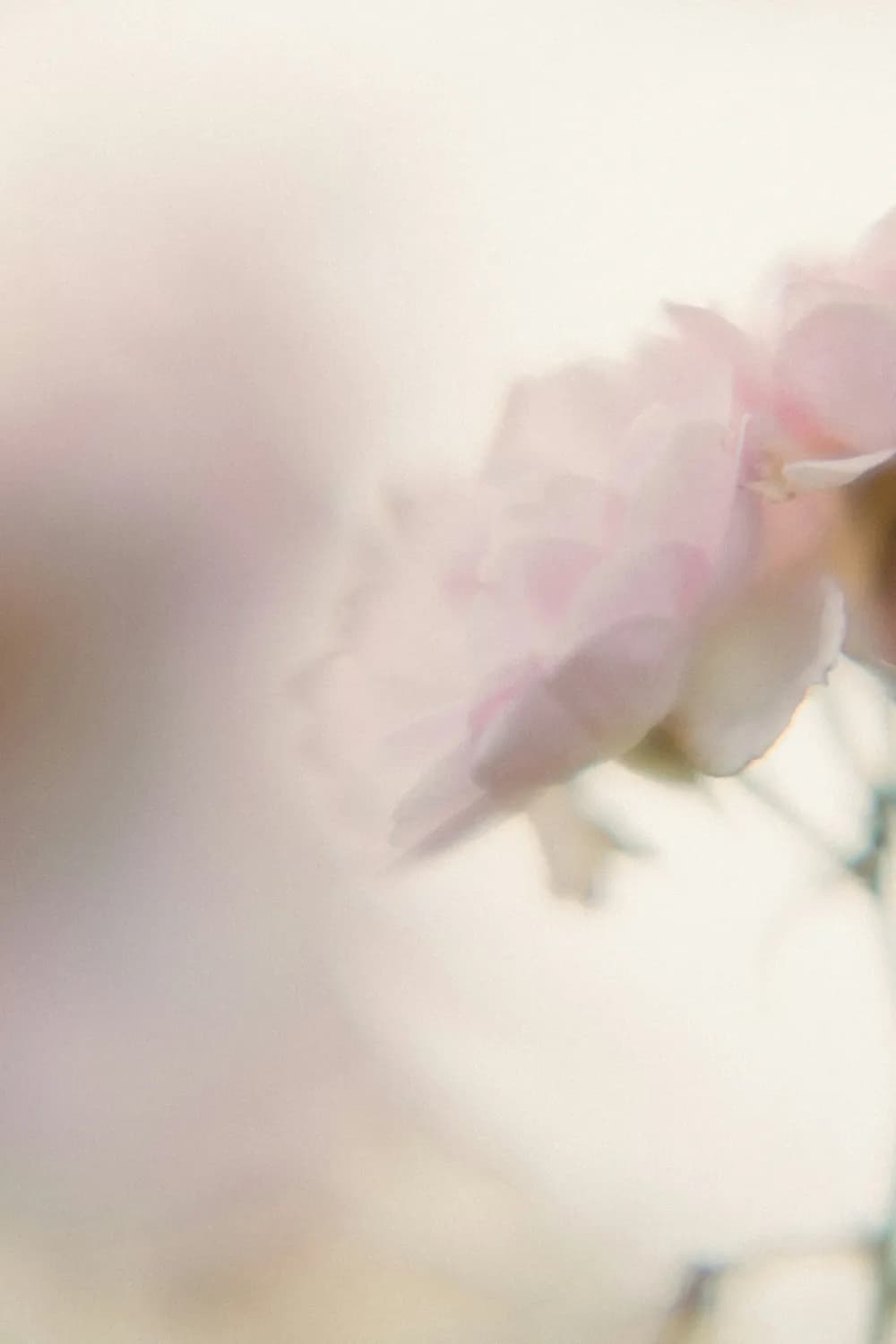 杜牧笔下生花，《阿房宫赋》传诵千古