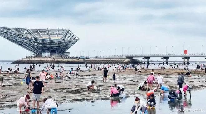 最全赶海攻略！在大大的沙滩上挖呀挖