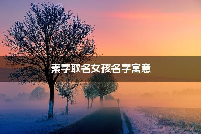 素字取名女孩名字寓意 120个搭配最好的带素字名字