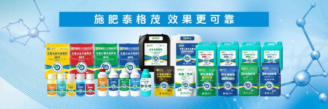 水溶肥VS复合肥，选对才能高效施肥