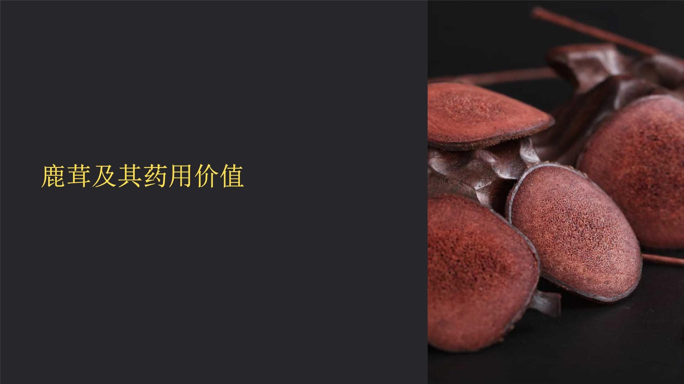 《鹿茸及其药用价值》课件