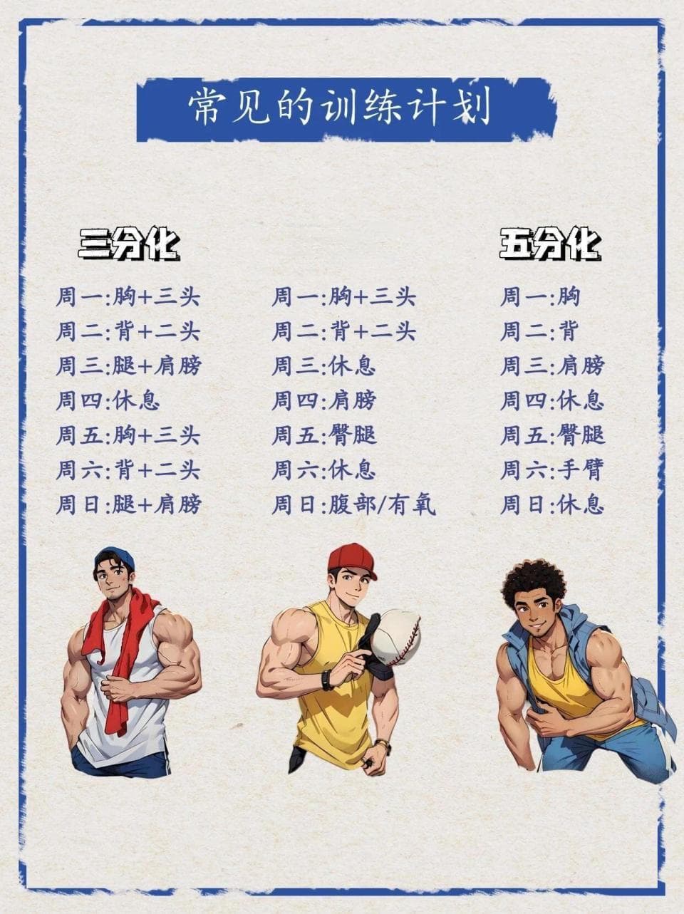 三种经典健身房训练计划：三分化、四分化和五分化