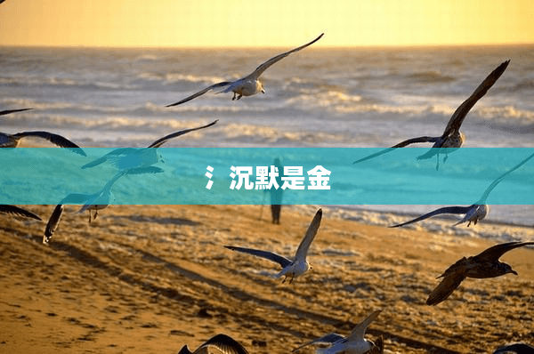 沉默是金：一种智慧、尊重与力量的体现