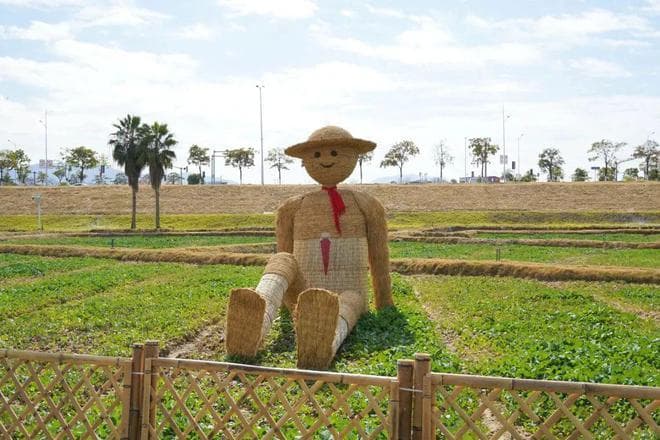 漳州三大春日圣地：龙江岁月、云洞岩、西湖公园