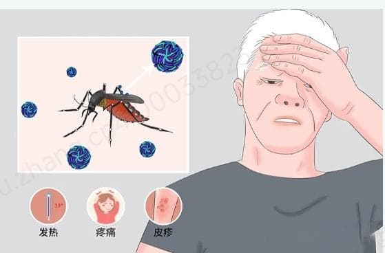 健康课堂丨居家需防蚊，远离登革热