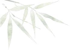 最有反差感的茶——鸭屎香