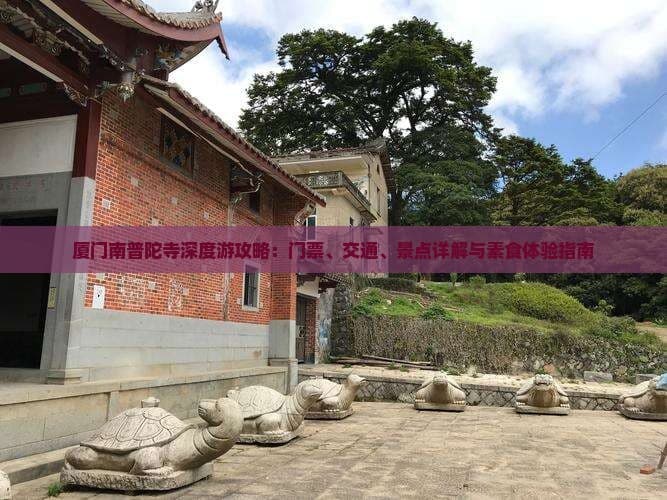 厦门南普陀寺深度游攻略：门票、交通、景点详解与素食体验指南