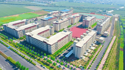 学习日：打造高效学习的黄金策略
