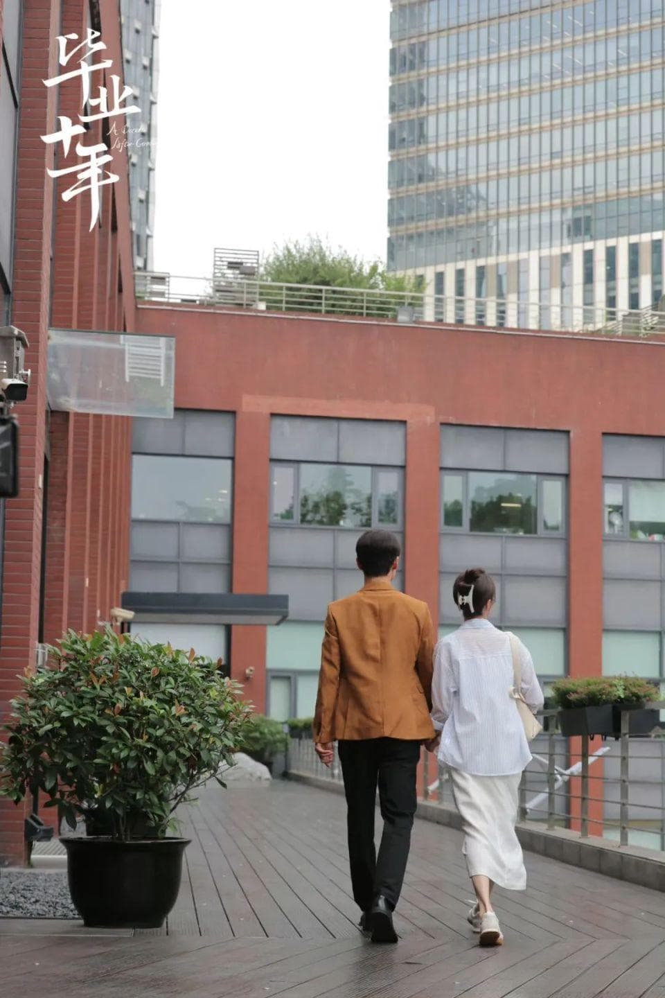 最新！《毕业十年》《北上》等现实题材剧蓄势待发