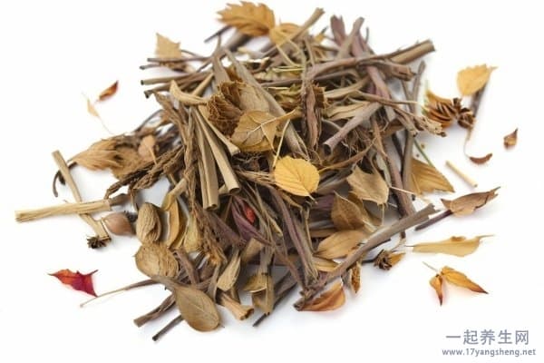 桑寄生的功效与作用：补阴虚还是阳虚？