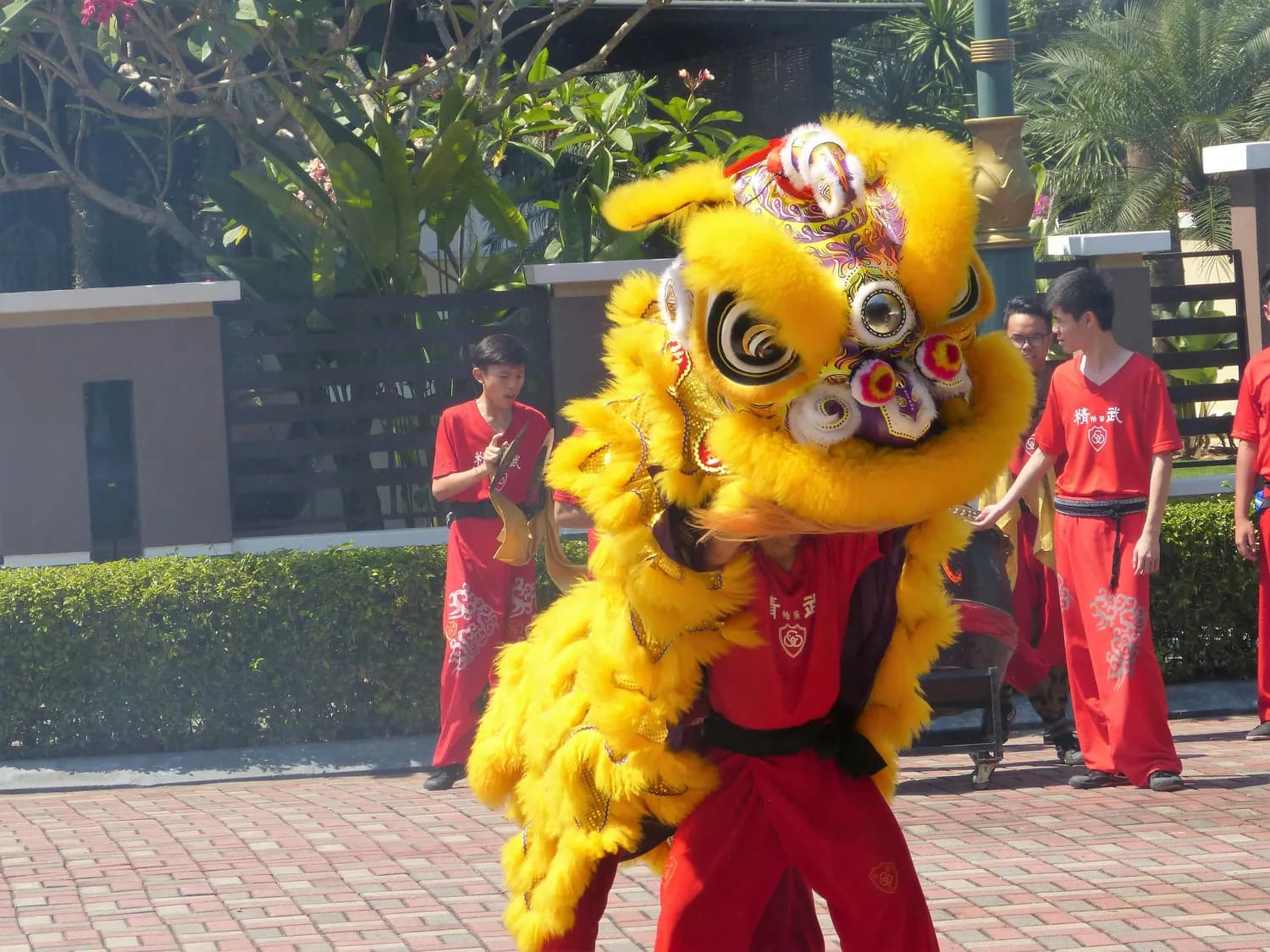 德庆县“炮仗攻狮子”：元宵节最燃庆祝方式