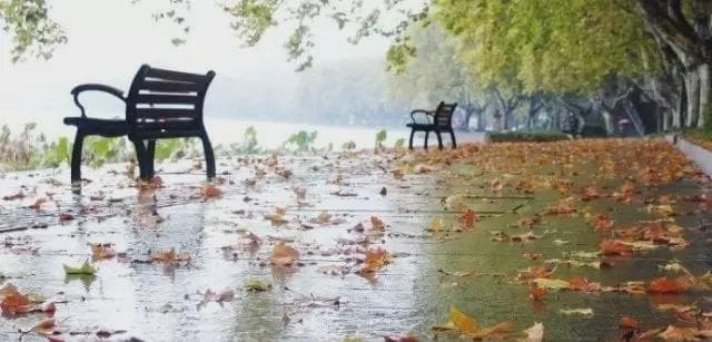 什么是华西秋雨？气象数据看华西秋雨的“多变面孔”、附准静止锋