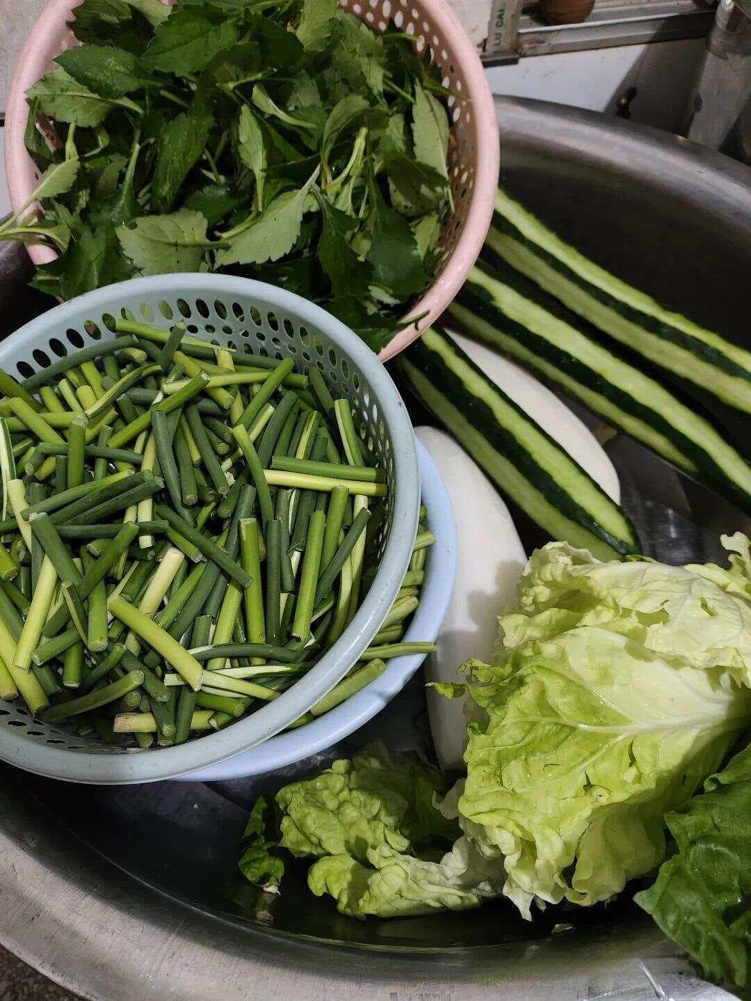 白菜：营养宝库与餐桌上的健康守护者