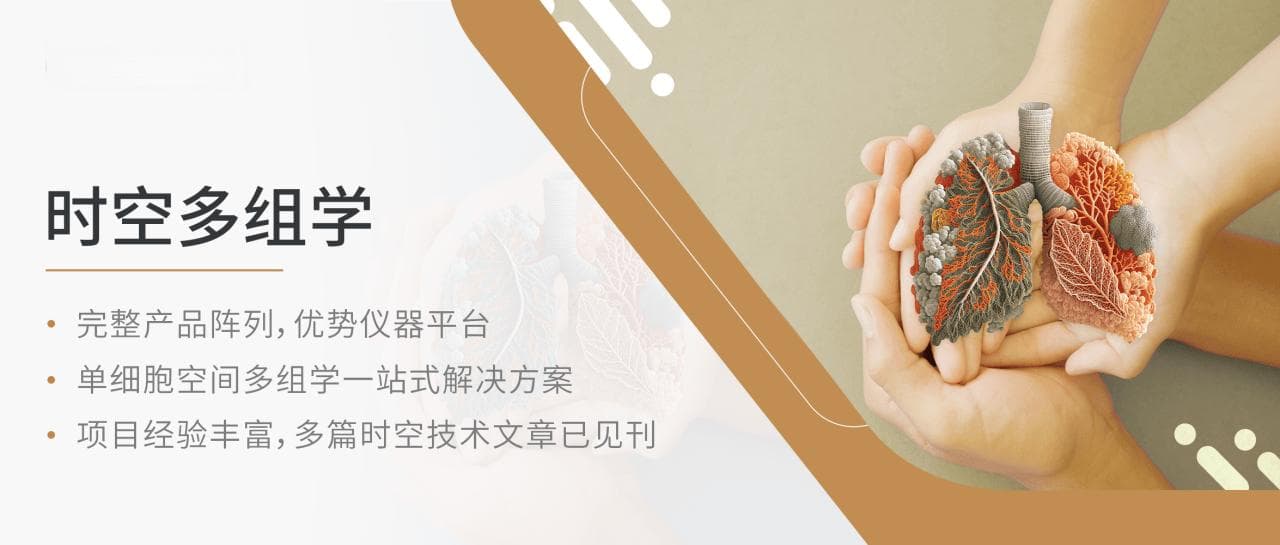 Nat Genet | 同济大学张鹏等引领肺癌免疫疗法新突破，解密肺癌耐药性机制