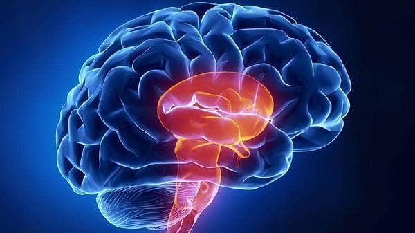 脑子总是集中不了注意力？这些原因和对策帮你找回专注力
