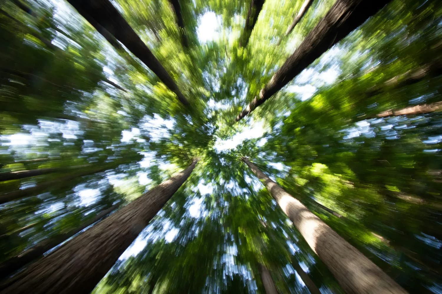 双木成林：职场协作新解