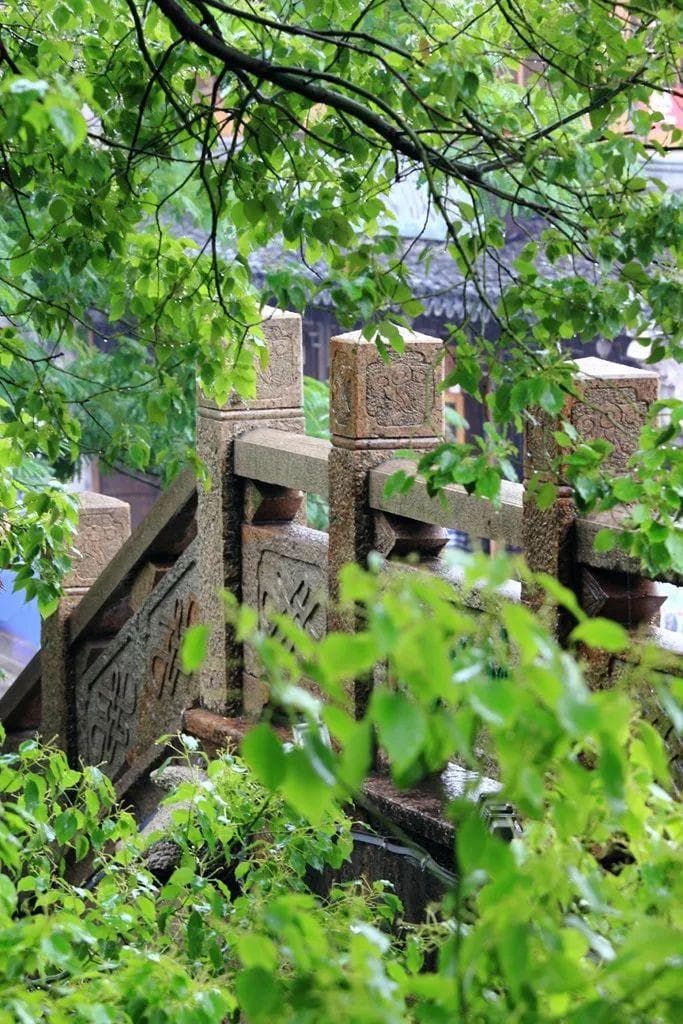 当金山下了雨，就美成了如诗如画的“烟雨江南”