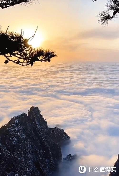 春天进补首选：虫草排骨汤
