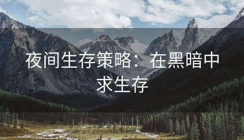 夜间生存指南：黑暗中的生存策略