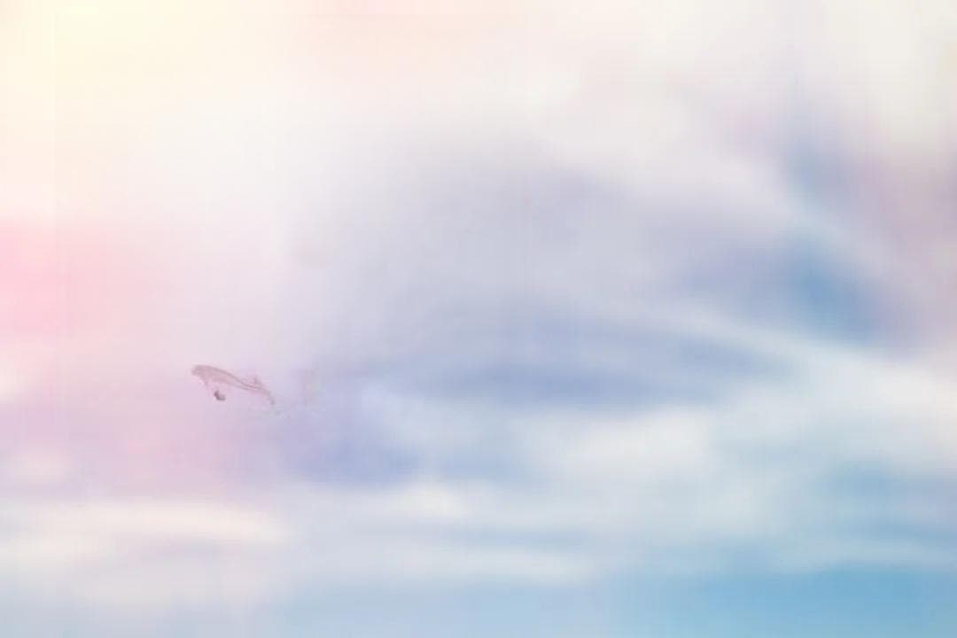 又湿又热……桑拿天里的清热解暑茶，马上安排