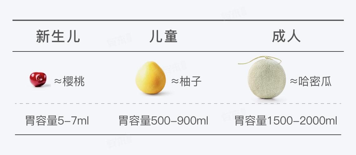 人的胃有多大？从新生儿到成人的变化及保养方法