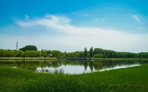 2024避暑旅游优选地！带孩子一起去
