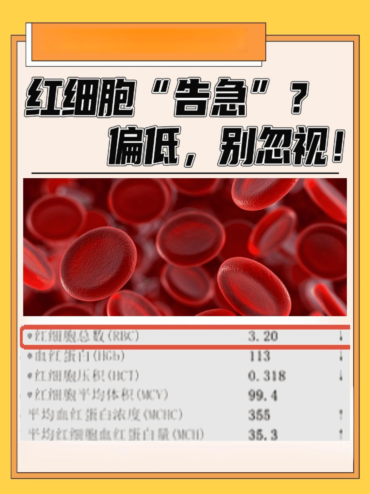 红细胞“告急”偏低，别忽视