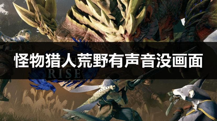 怪物猎人荒野画面异常？三个实用解决方案帮你轻松应对！