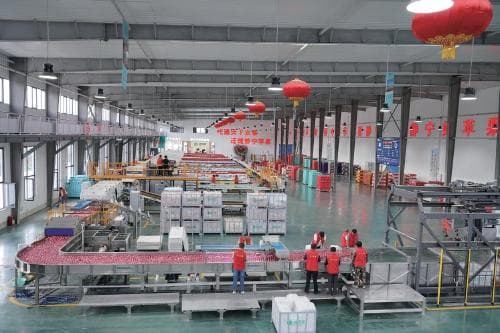 “保险+期货”助力甘肃静宁兴果强农