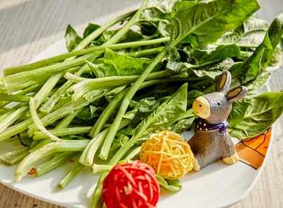 别再小瞧菠菜了 这些营养价值远超你想象