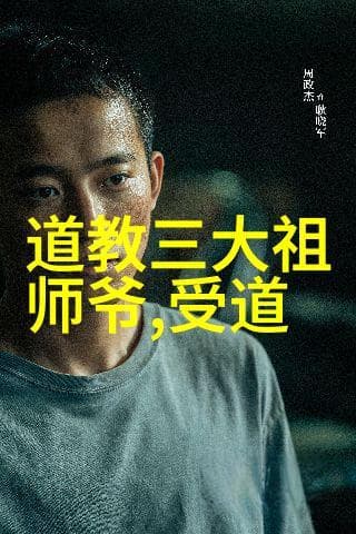 从政治理论到生活智慧：<道德经>的现代启示