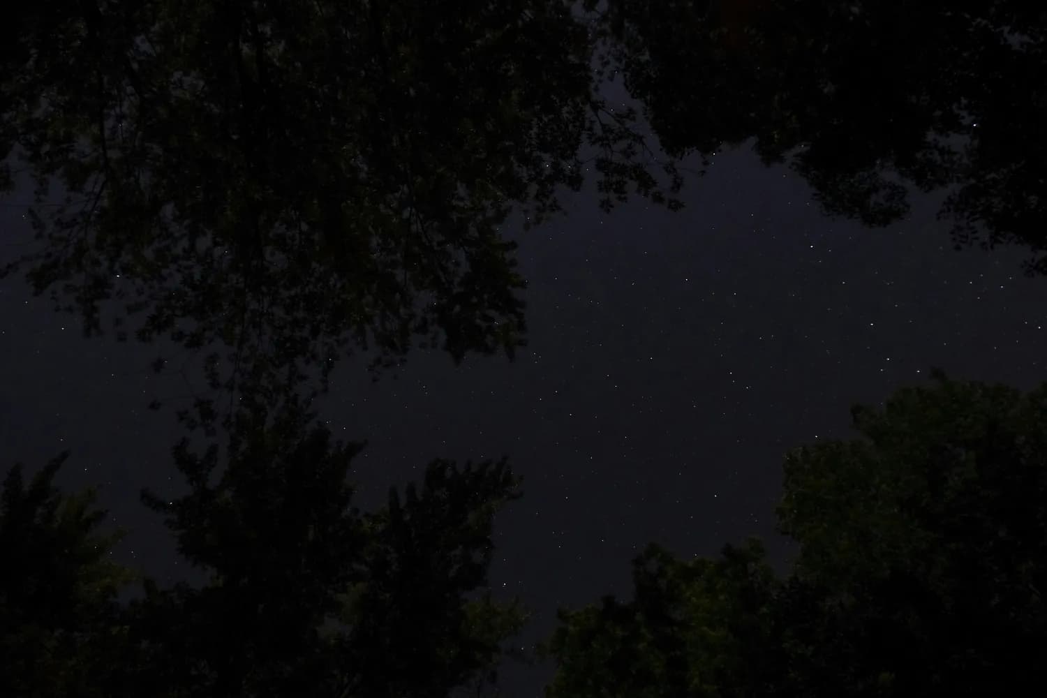 翠影星的守护者：《崩坏：星穹铁道》林曦角色解析
