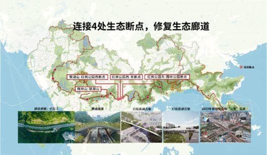 深规院精雕细琢“山海连城”，绘就人与自然和谐共生的壮丽画卷
