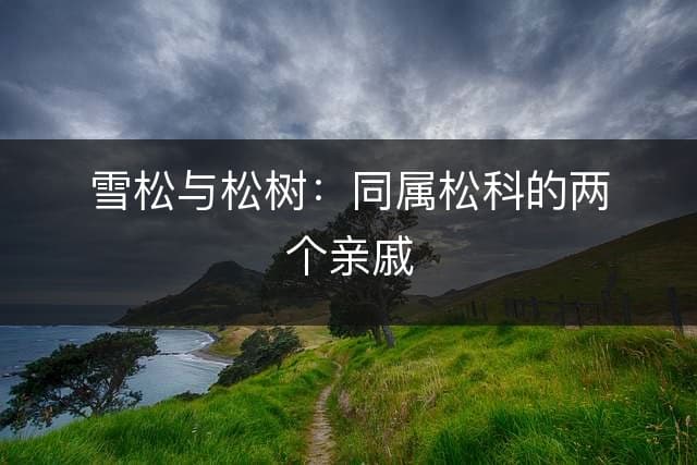 雪松与松树：同属松科的两个亲戚