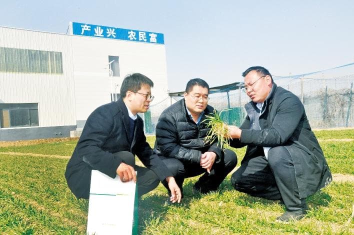 金融为智慧农业护航