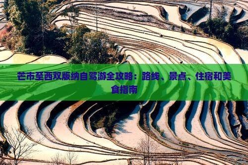 芒市至西双版纳自驾游全攻略：路线、景点、住宿和美食指南