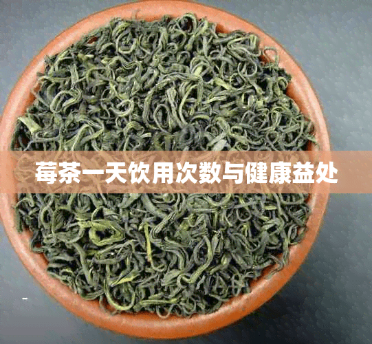 莓茶一天饮用次数与健康益处