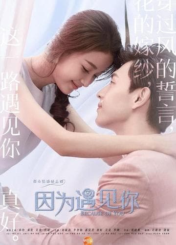 《因为遇见你》全版本整理：音乐与剧集的双重演绎