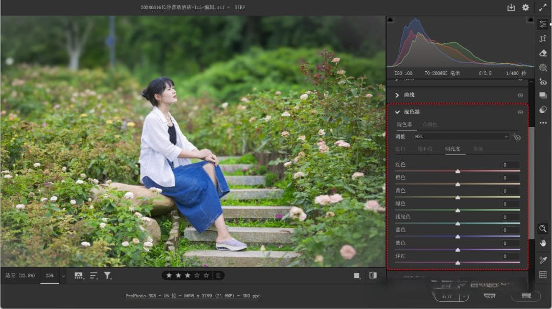 Camera Raw混色器功能详解：从基础到进阶的图像调色技巧