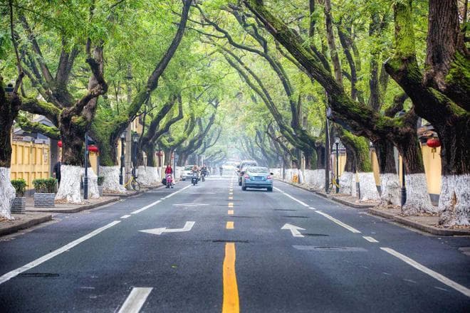 春天最美的10个小众旅行地！阳春三月，去邂逅一个明媚灿烂的春天