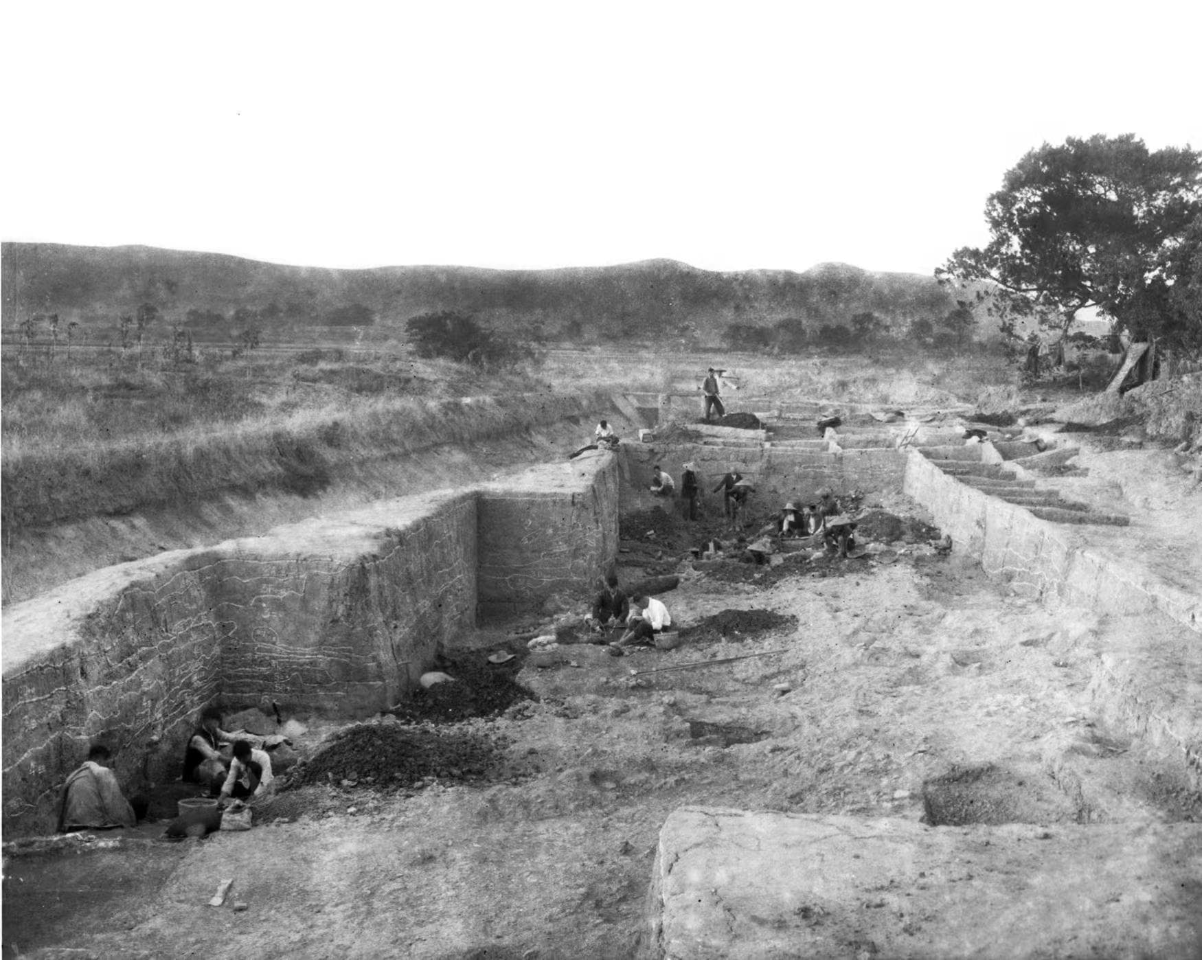 屈家岭遗址考古历程：从1954年至今的重大发现