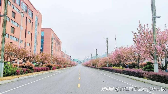 中国二十四节气之春分：昼夜共舞的平衡之歌