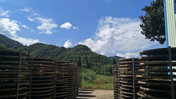 福建茶产业的振兴之道