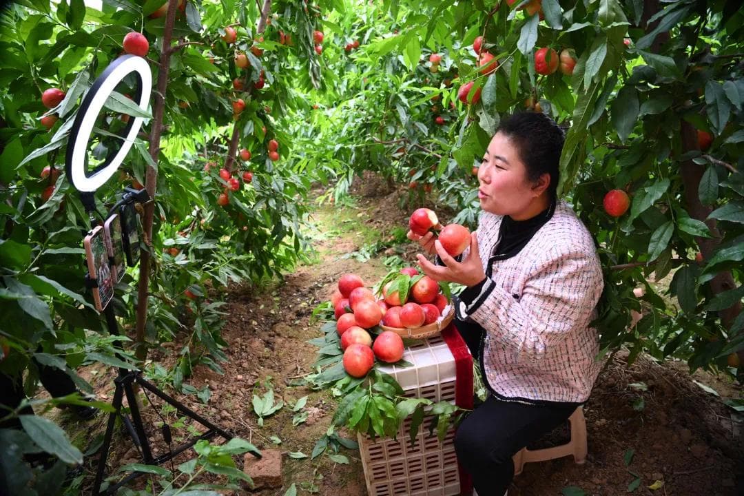 深度拆解！农村电商的困境、原因与出路分析