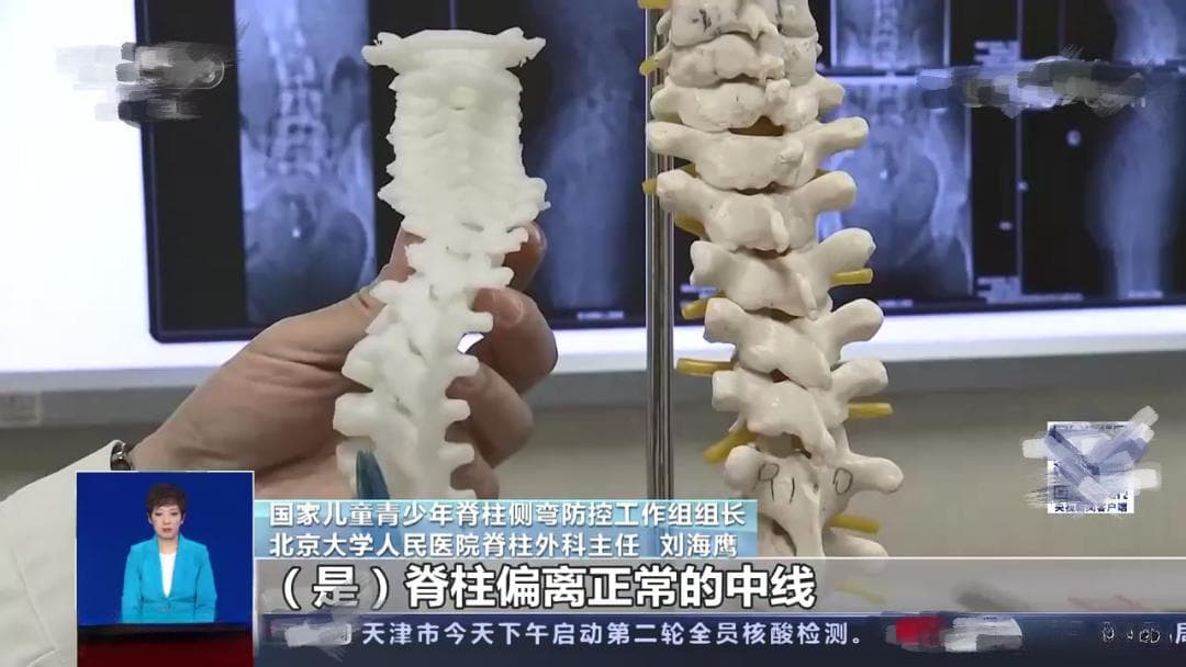 饶了你的脊柱吧，你可能一直坐错了椅子——如何构建专属自己的人体工学桌椅系统环境