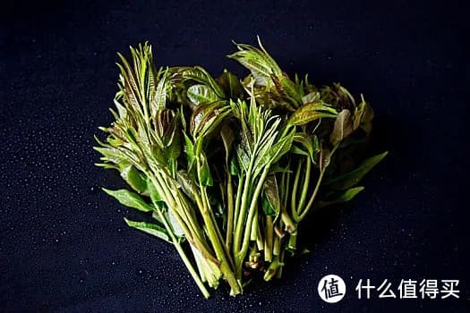 春日香椿：升阳养肝的时令养生佳品
