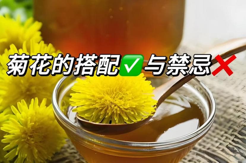 菊花茶的功效与禁忌：一款适合大多数人的养生茶饮配方