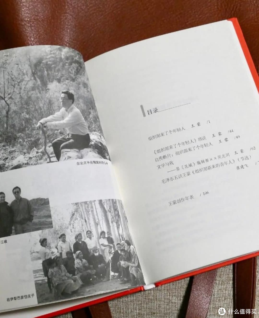 《组织部来了个年轻人》，王蒙笔下的职场新风！