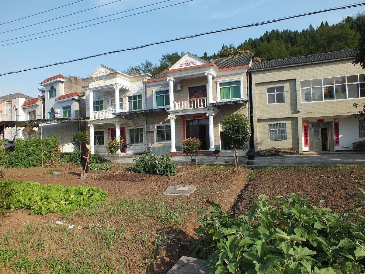 2024农村宅基地申请全指南：条件、流程及注意事项详解
