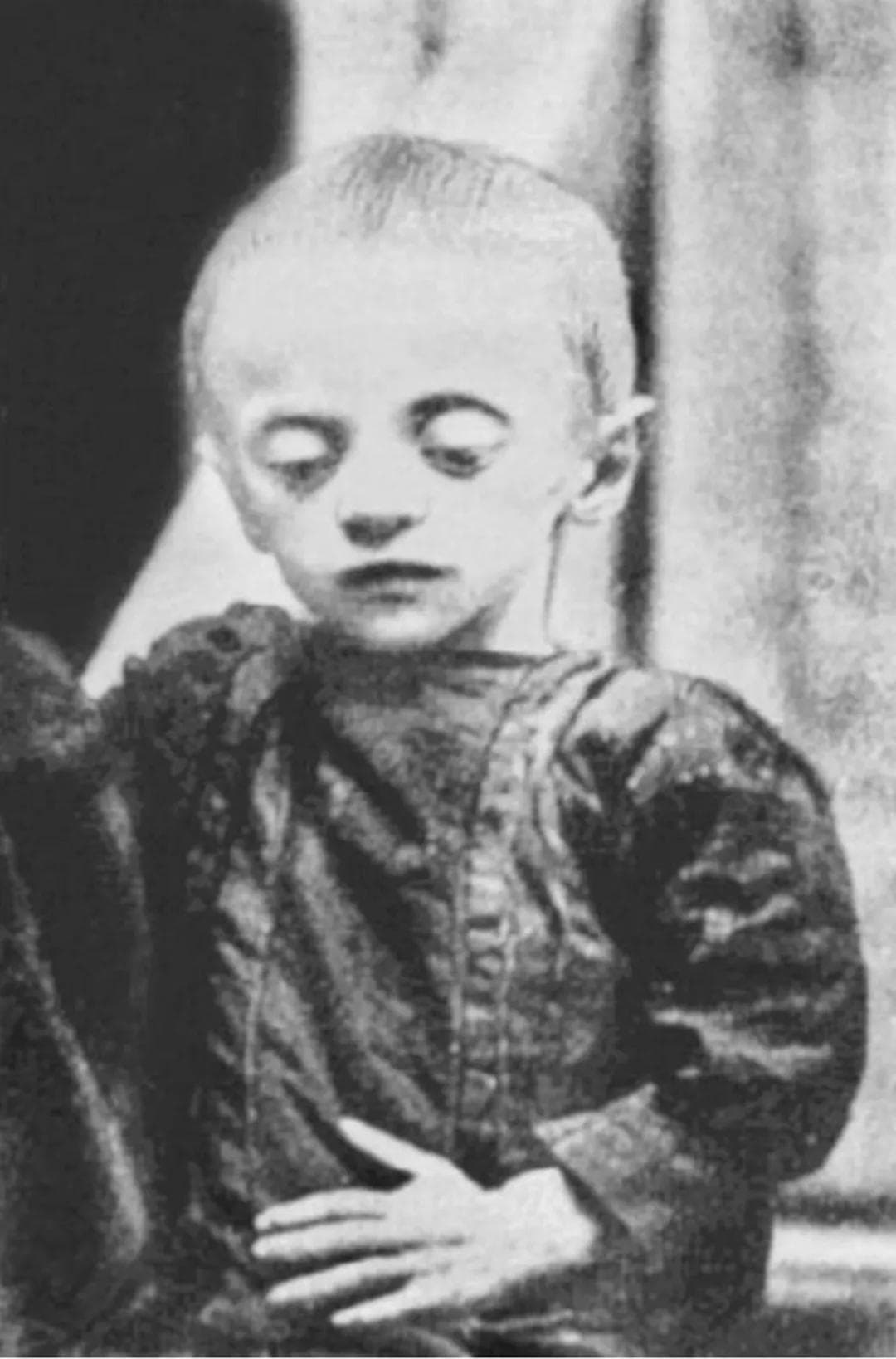 苏联1932～1933年饥荒发生时的情况与死亡人数
